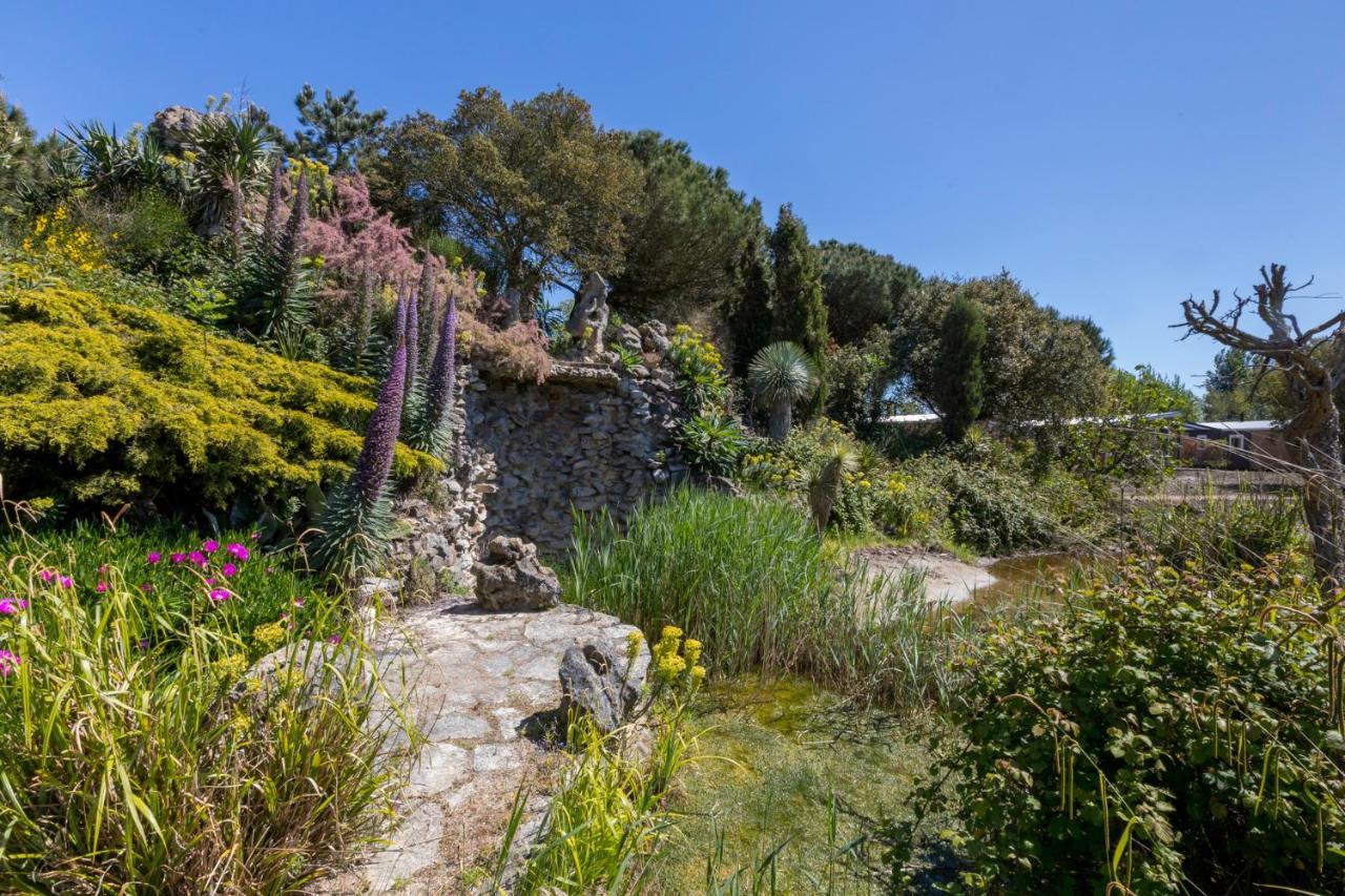 Welcome In - Chalet Vakantiepark Fort Den Haak - Huisdier Toegestaan Vrouwenpolder Εξωτερικό φωτογραφία